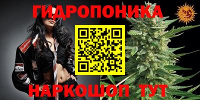 ECSTASY Кимры