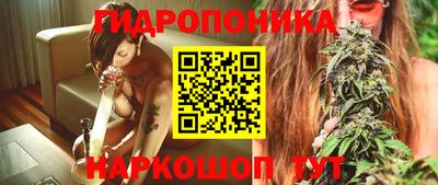 наркотики Кингисепп