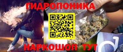 наркотики Кингисепп