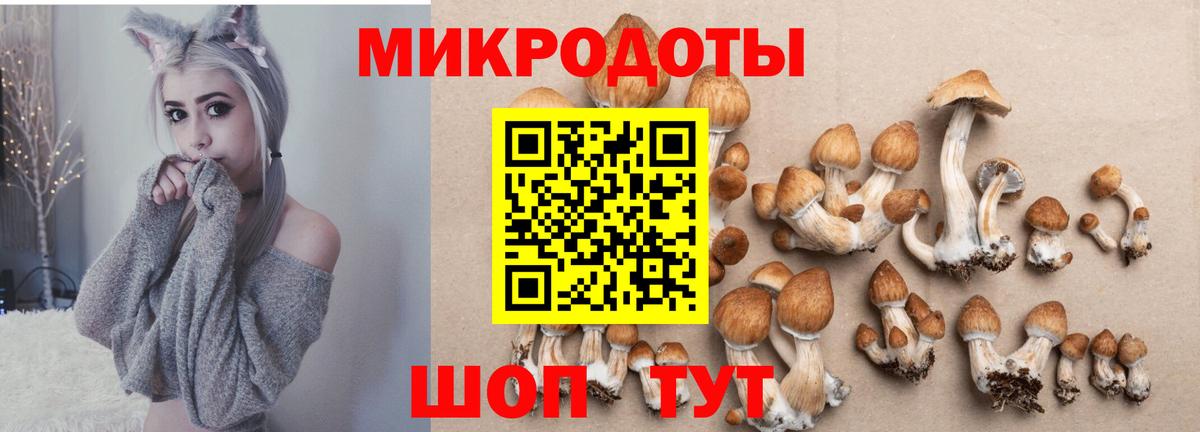 Галлюциногенные грибы ЛСД Волхов