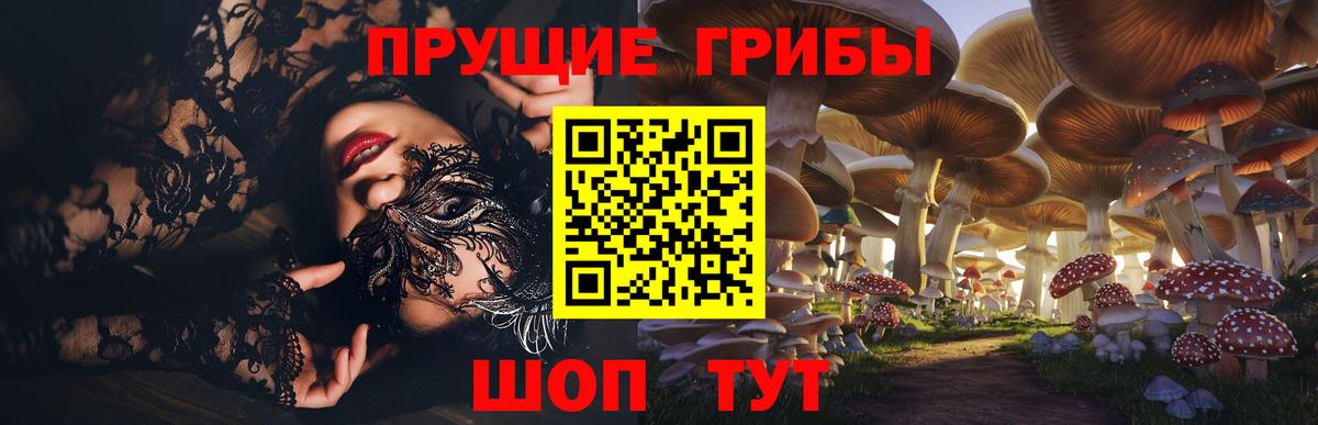 Псилоцибиновые грибы Cubensis  Галлюциногенные грибы ЛСД  цены   Вход с VPN  Волхов 